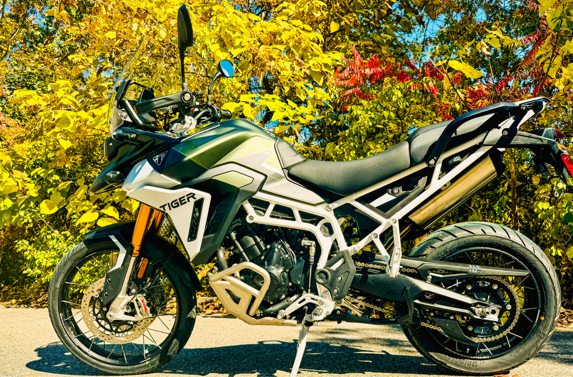 2025 Triumph Tiger 900 Rally Pro in Tyngsboro, Massachusetts - Photo 29