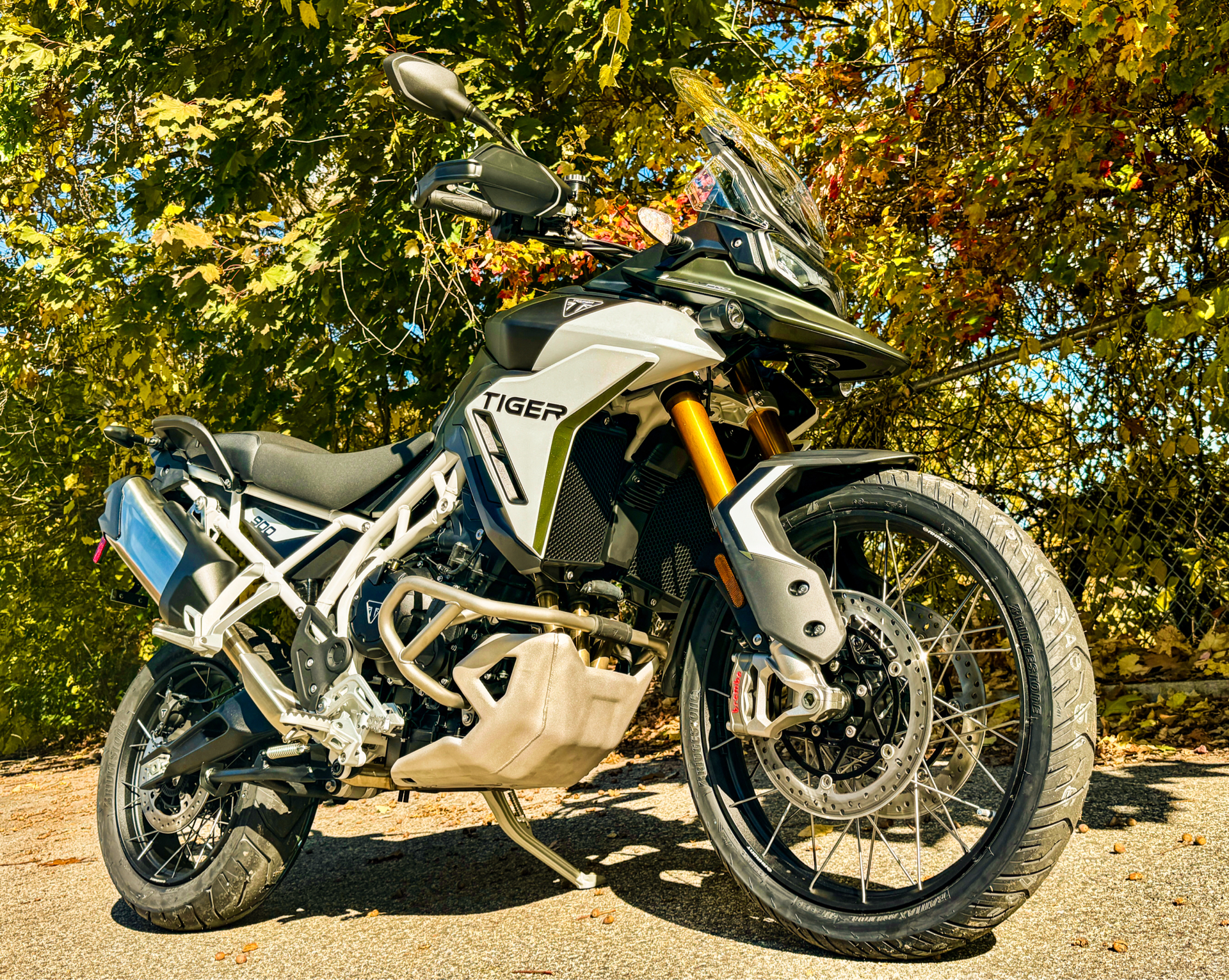 2025 Triumph Tiger 900 Rally Pro in Tyngsboro, Massachusetts - Photo 9