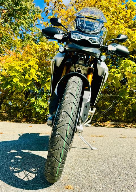 2025 Triumph Tiger 900 Rally Pro in Tyngsboro, Massachusetts - Photo 19