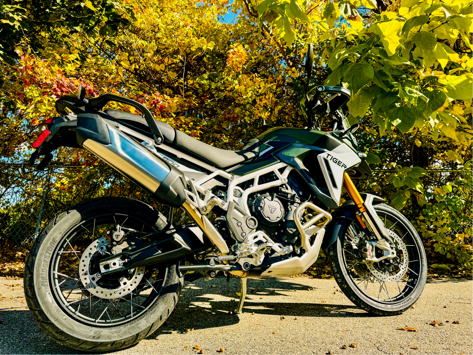 2025 Triumph Tiger 900 Rally Pro in Tyngsboro, Massachusetts - Photo 25