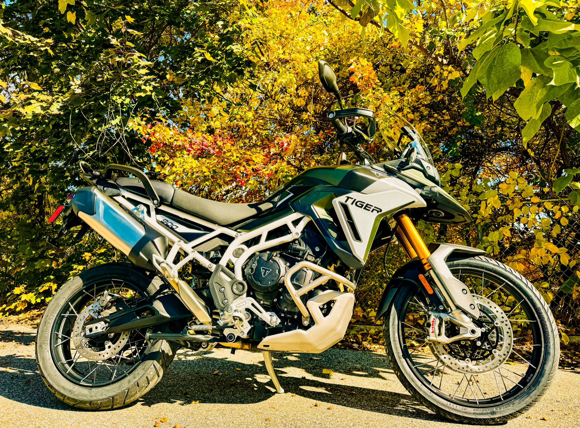 2025 Triumph Tiger 900 Rally Pro in Tyngsboro, Massachusetts - Photo 34