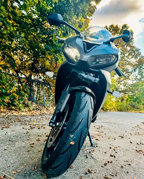 2025 Triumph Daytona 660 in Tyngsboro, Massachusetts - Photo 5