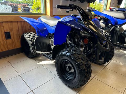 2024 Yamaha YFZ50 in Northampton, Massachusetts