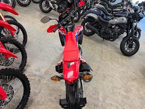 2024 Honda CRF300L ABS in Northampton, Massachusetts - Photo 6