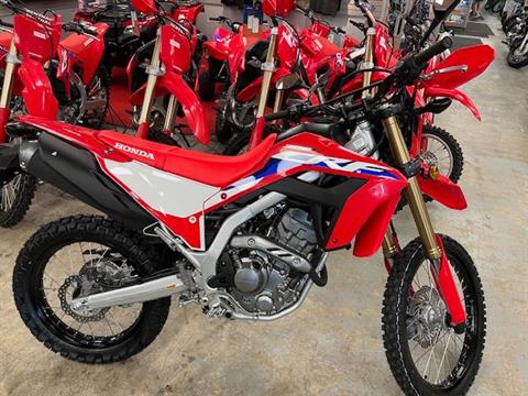 2024 Honda CRF300L ABS in Northampton, Massachusetts - Photo 1