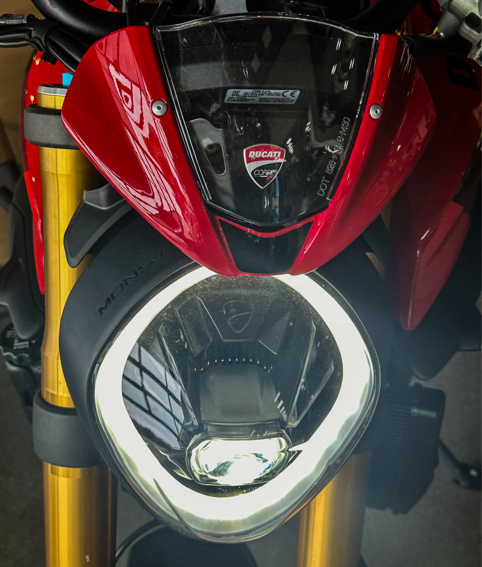 2024 Ducati Monster SP in Northampton, Massachusetts - Photo 6