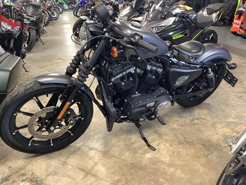 2017 Harley-Davidson Iron 883™ in Northampton, Massachusetts - Photo 7
