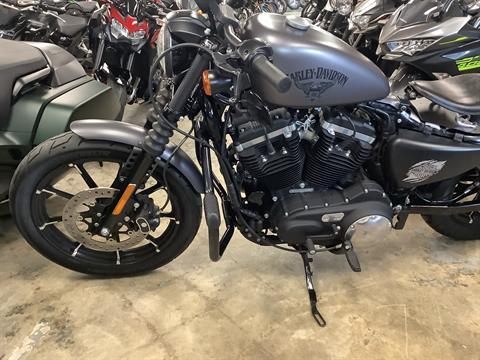 2017 Harley-Davidson Iron 883™ in Northampton, Massachusetts - Photo 8