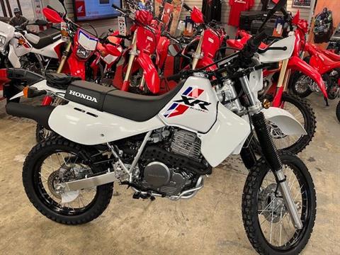 2024 Honda XR650L in Northampton, Massachusetts