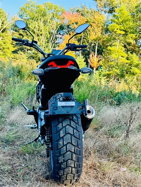 2024 Ducati Scrambler Icon in Foxboro, Massachusetts - Photo 47