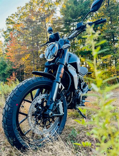 2024 Ducati Scrambler Icon in Foxboro, Massachusetts - Photo 12