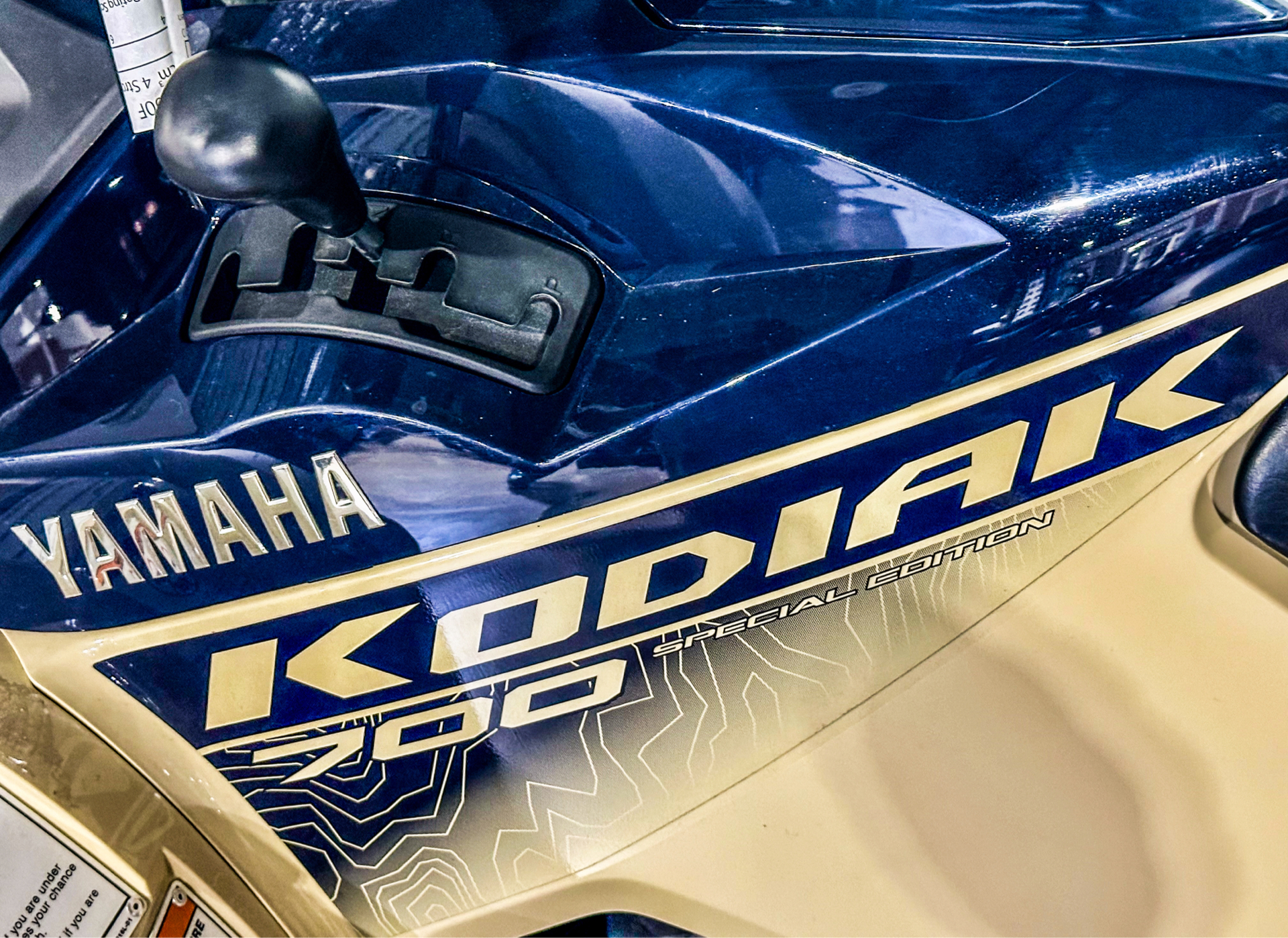 2024 Yamaha Kodiak 700 EPS SE in Foxboro, Massachusetts - Photo 2