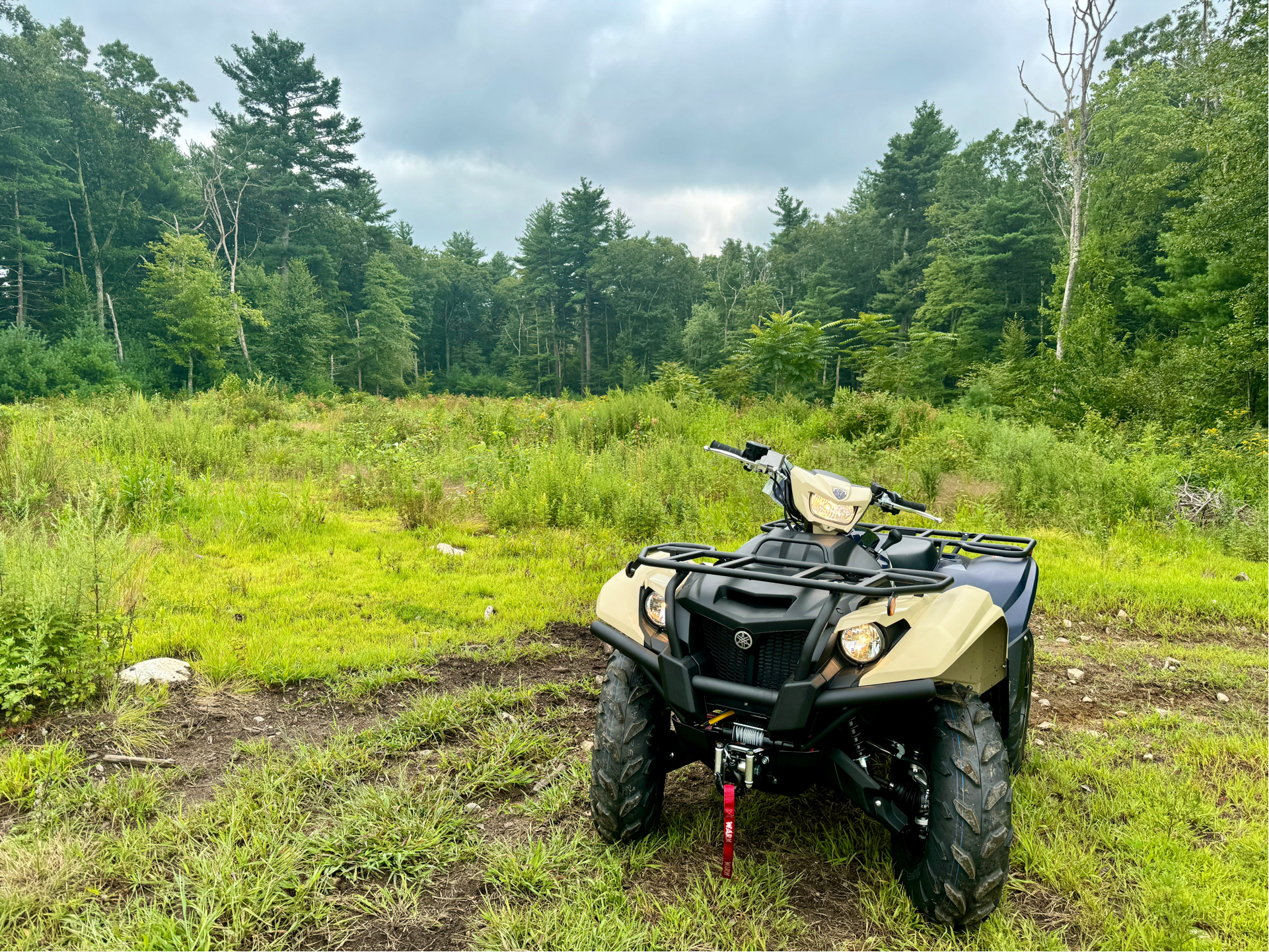 2024 Yamaha Kodiak 700 EPS SE in Foxboro, Massachusetts - Photo 13