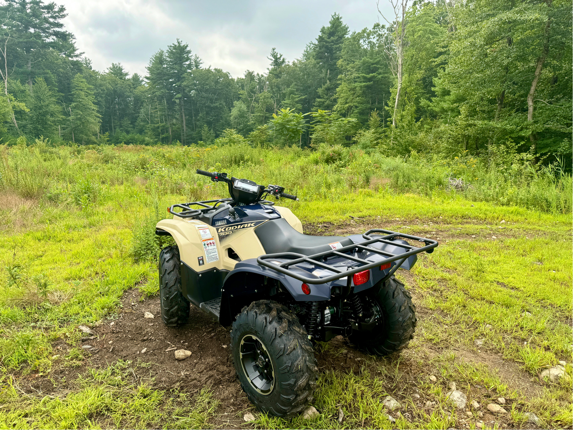 2024 Yamaha Kodiak 700 EPS SE in Foxboro, Massachusetts - Photo 29