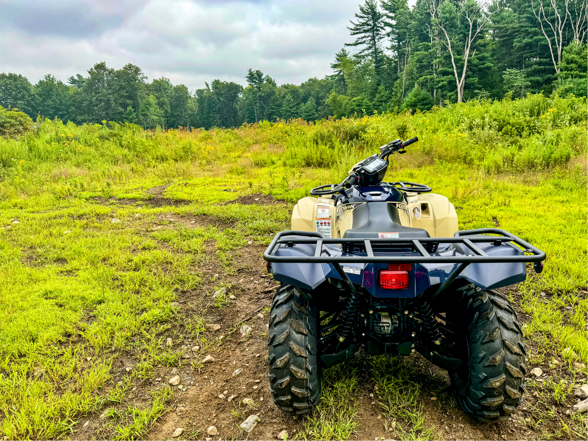 2024 Yamaha Kodiak 700 EPS SE in Foxboro, Massachusetts - Photo 23