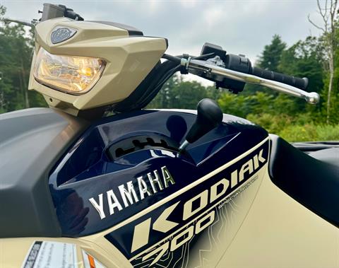 2024 Yamaha Kodiak 700 EPS SE in Foxboro, Massachusetts - Photo 4