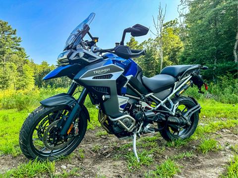 2023 Triumph Tiger 1200 GT Explorer in Foxboro, Massachusetts