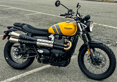 2024 Triumph Scrambler 900 in Foxboro, Massachusetts - Photo 1