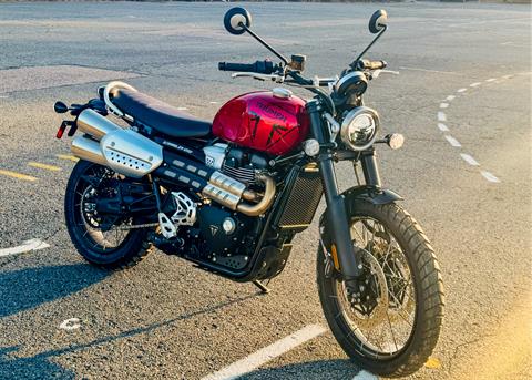 2024 Triumph Scrambler 1200 X in Foxboro, Massachusetts - Photo 15