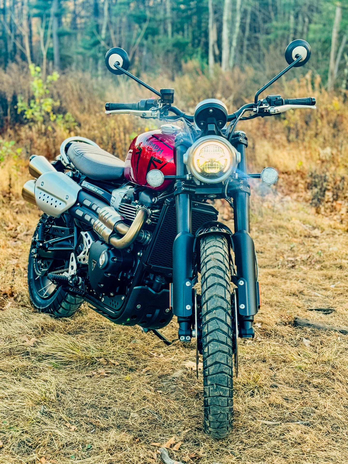 2024 Triumph Scrambler 1200 X in Foxboro, Massachusetts - Photo 7