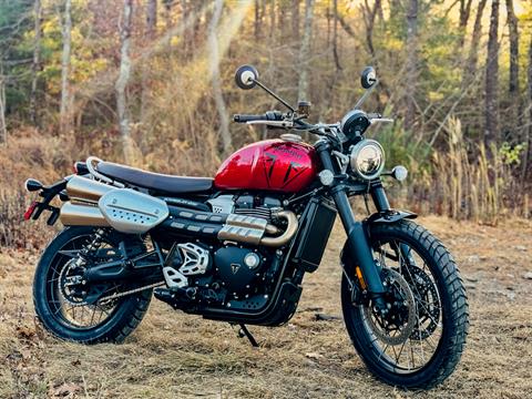 2024 Triumph Scrambler 1200 X in Foxboro, Massachusetts - Photo 42