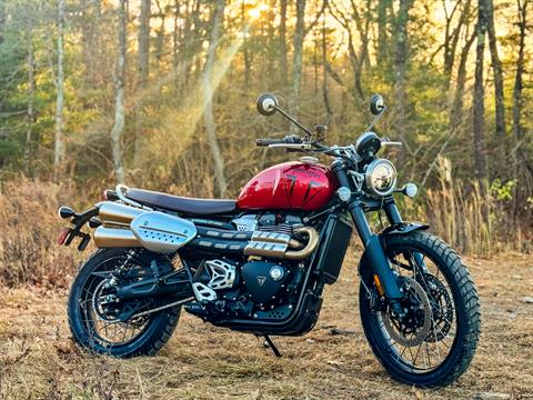 2024 Triumph Scrambler 1200 X in Foxboro, Massachusetts - Photo 1