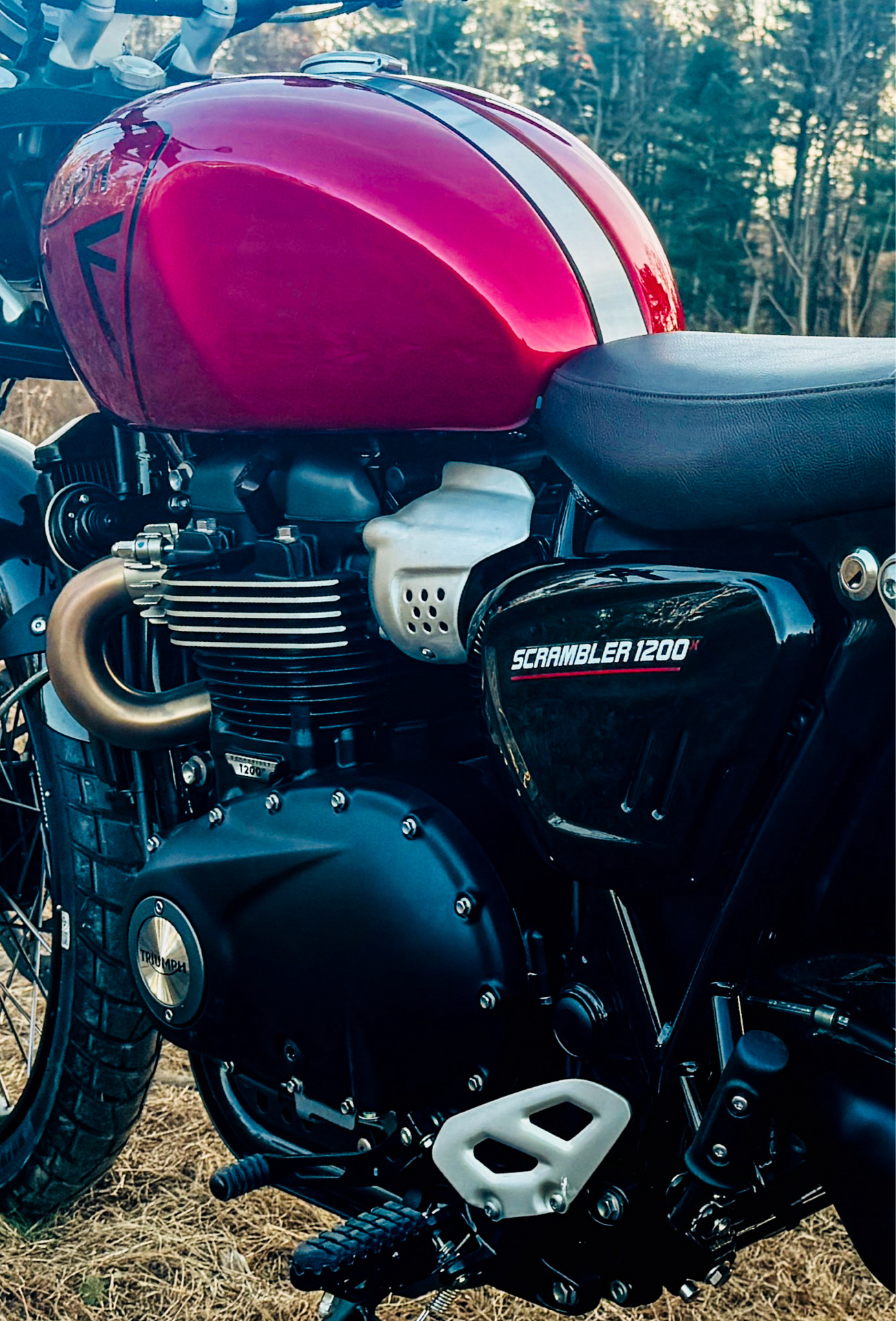 2024 Triumph Scrambler 1200 X in Foxboro, Massachusetts - Photo 18