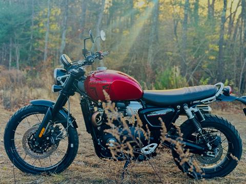 2024 Triumph Scrambler 1200 X in Foxboro, Massachusetts - Photo 3