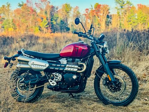 2024 Triumph Scrambler 1200 X in Foxboro, Massachusetts - Photo 19