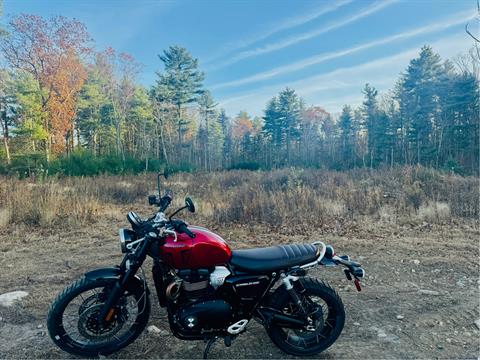 2024 Triumph Scrambler 1200 X in Foxboro, Massachusetts - Photo 46