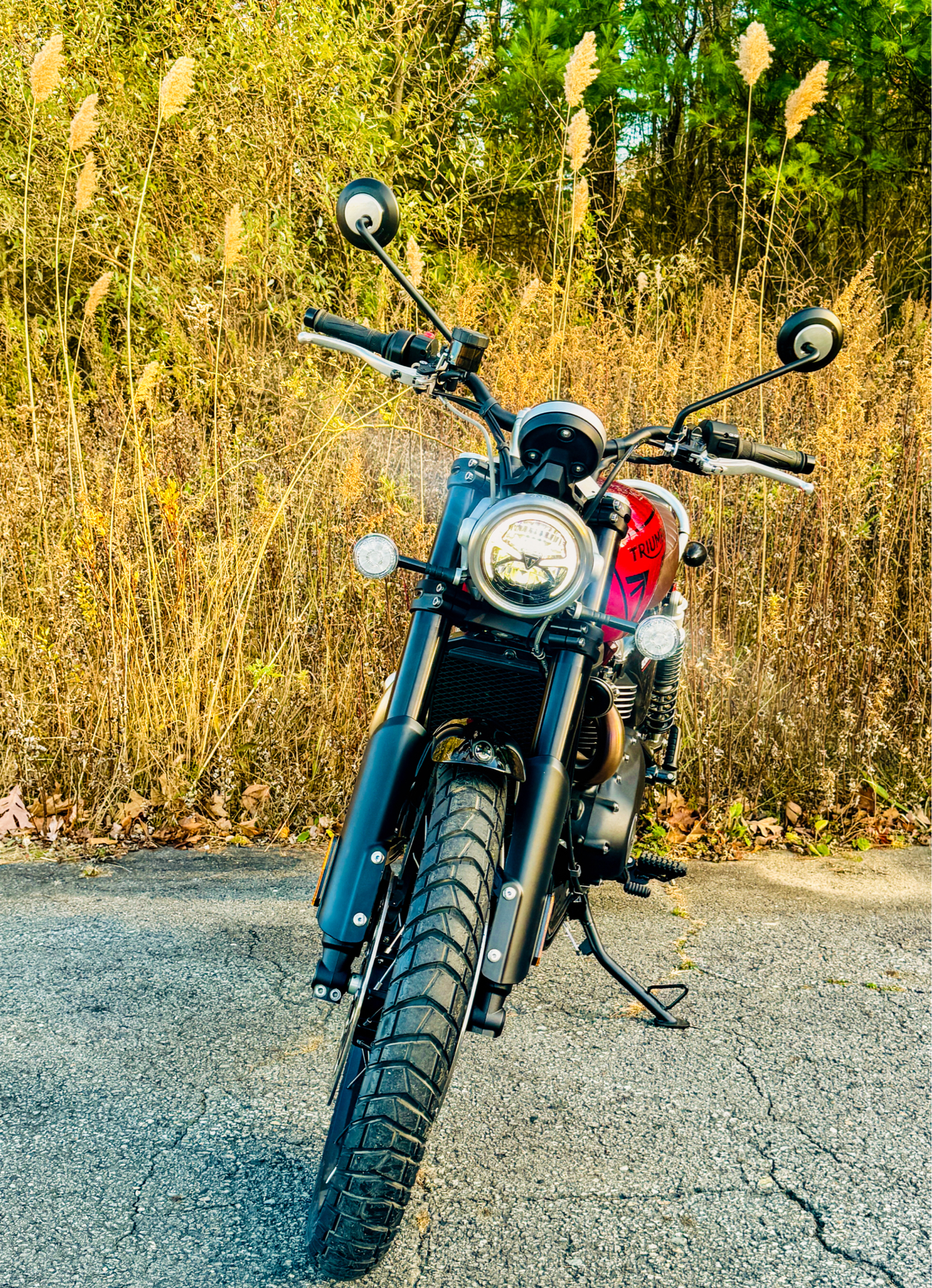 2024 Triumph Scrambler 1200 X in Foxboro, Massachusetts - Photo 52