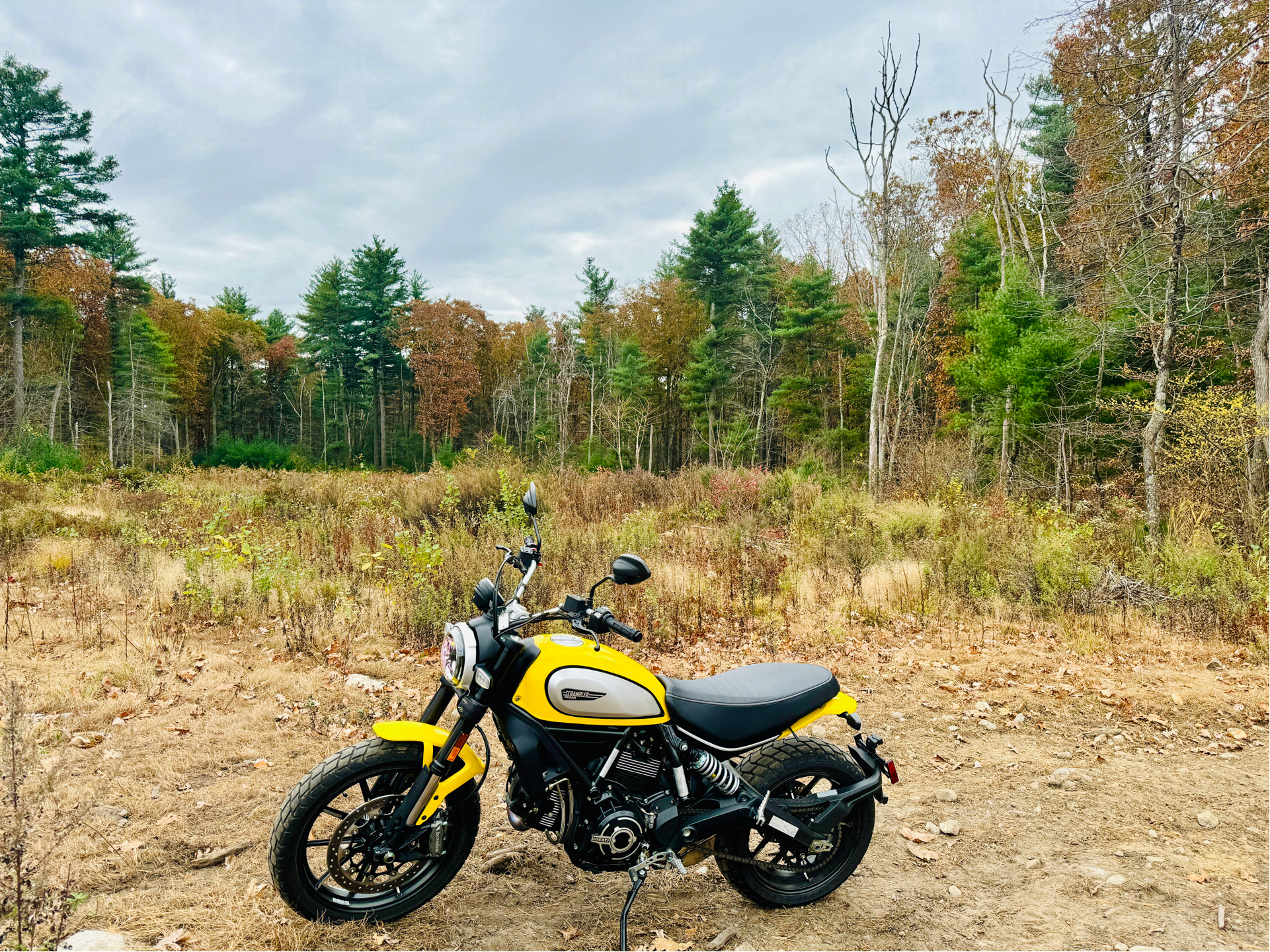 2023 Ducati Scrambler Icon in Foxboro, Massachusetts - Photo 30