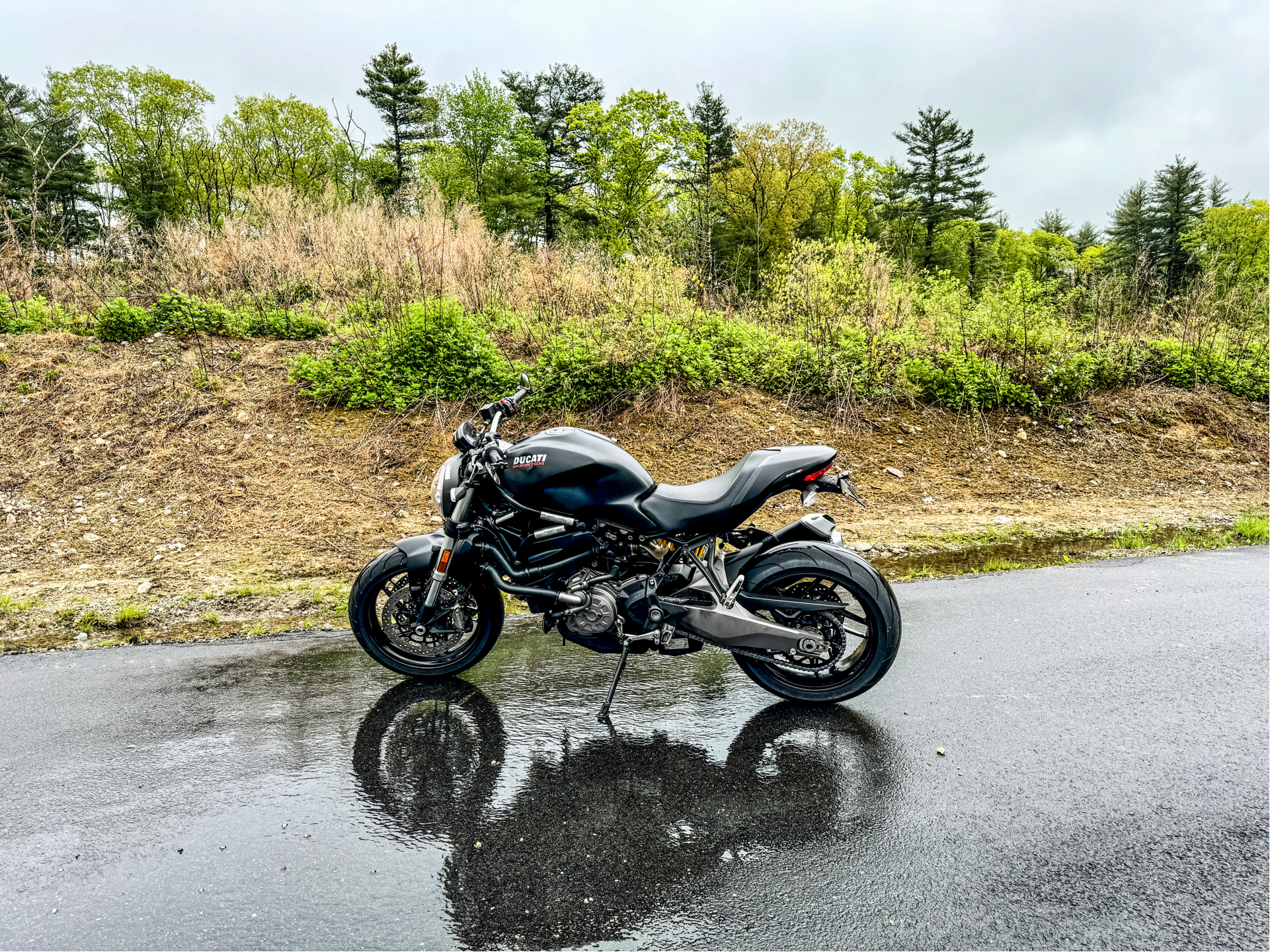 2019 Ducati Monster 821 in Foxboro, Massachusetts - Photo 15