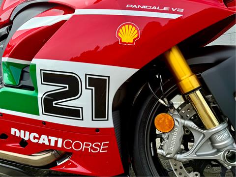 2024 Ducati Panigale V2 Bayliss 1st Championship 20th Anniversary in Foxboro, Massachusetts - Photo 15