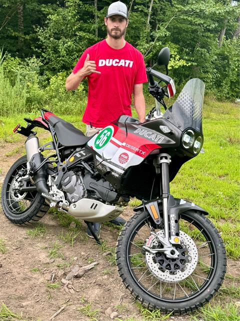 2024 Ducati DesertX in Foxboro, Massachusetts