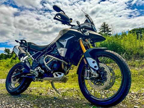 2023 Triumph Tiger 900 Rally Pro in Foxboro, Massachusetts