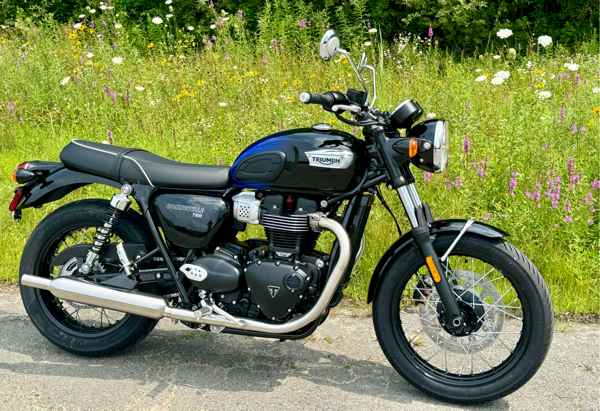 2024 Triumph Bonneville T100 in Foxboro, Massachusetts - Photo 7