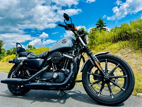 2020 Harley-Davidson Iron 883™ in Foxboro, Massachusetts - Photo 9