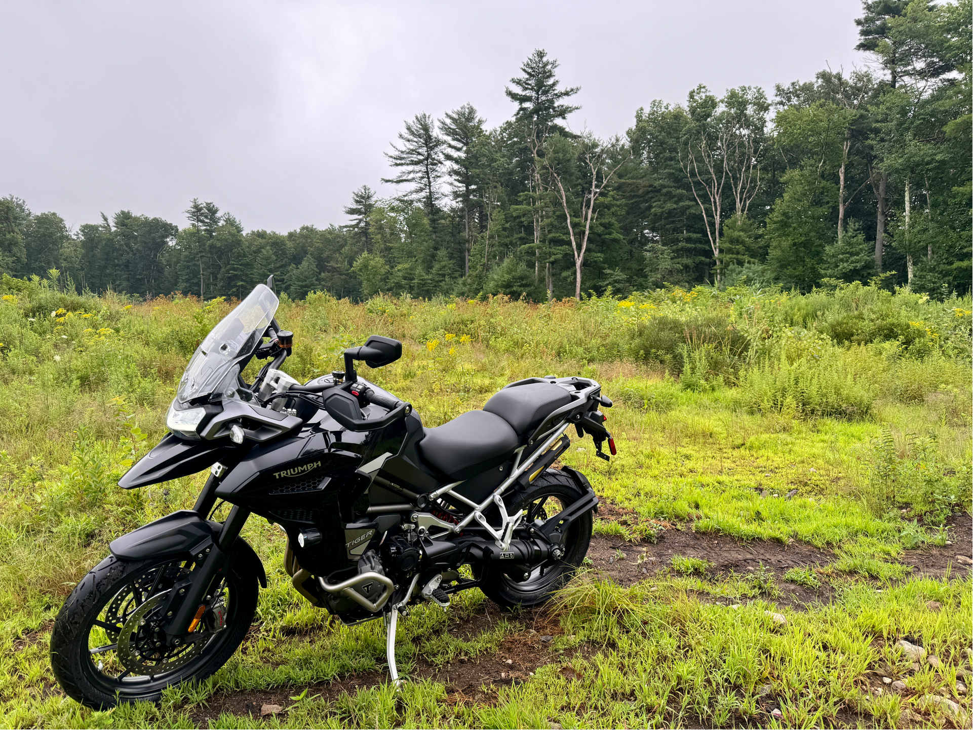 2023 Triumph Tiger 1200 GT Explorer in Foxboro, Massachusetts - Photo 25