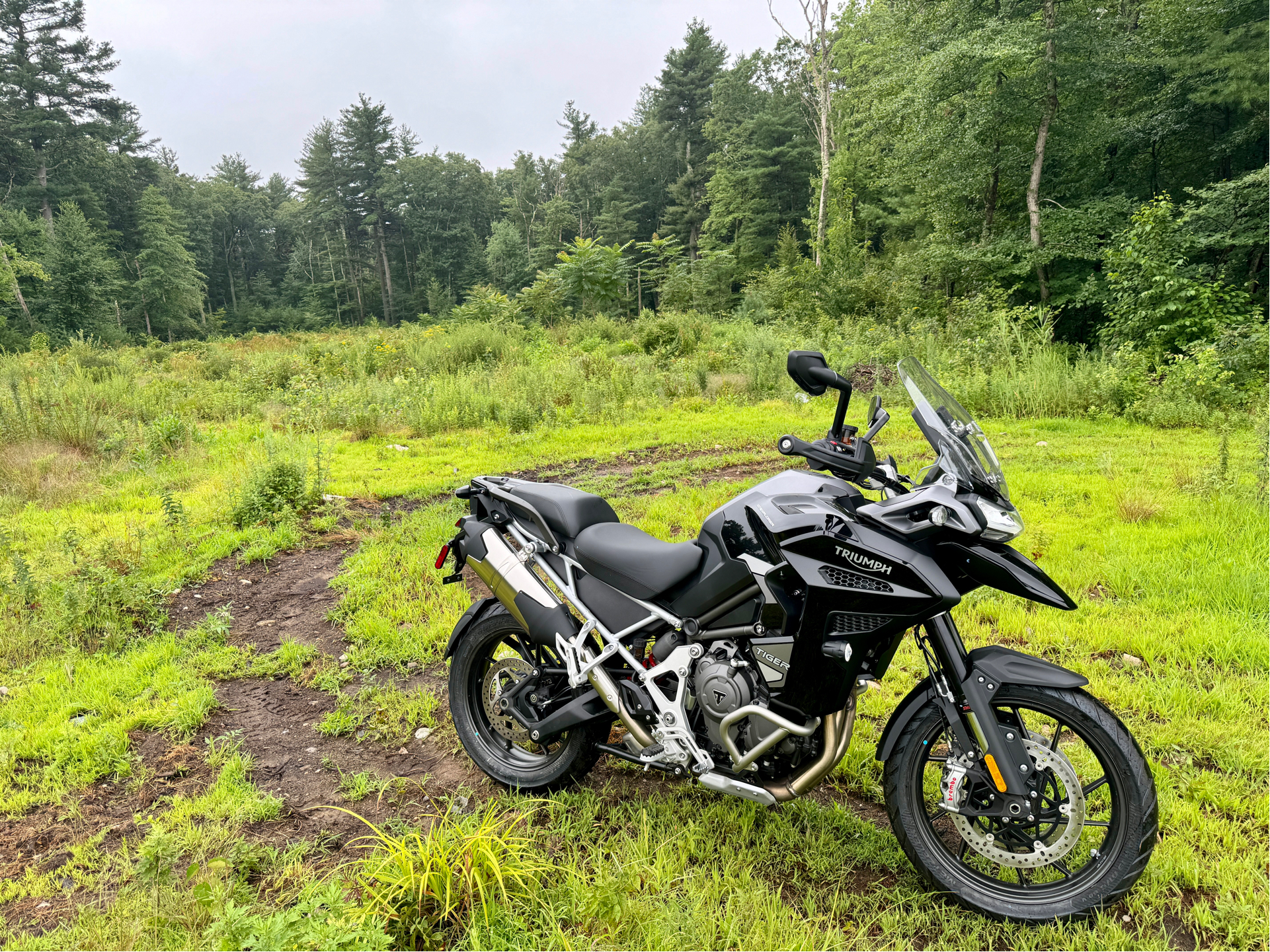 2023 Triumph Tiger 1200 GT Explorer in Foxboro, Massachusetts - Photo 27