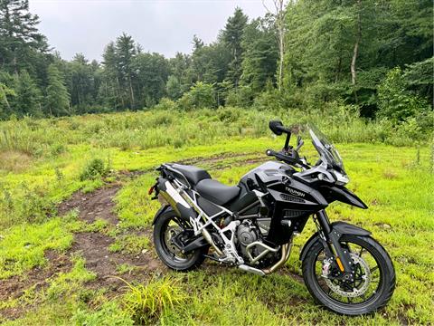 2023 Triumph Tiger 1200 GT Explorer in Foxboro, Massachusetts - Photo 27