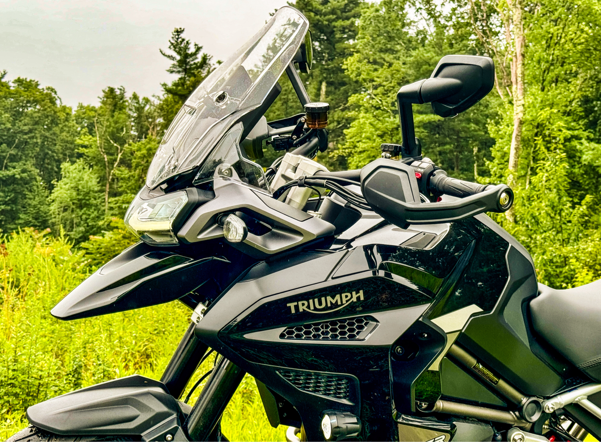 2023 Triumph Tiger 1200 GT Explorer in Foxboro, Massachusetts - Photo 10