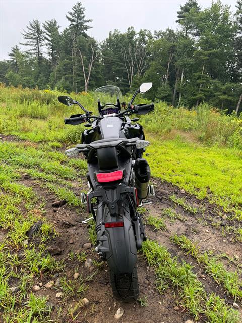 2023 Triumph Tiger 1200 GT Explorer in Foxboro, Massachusetts - Photo 13