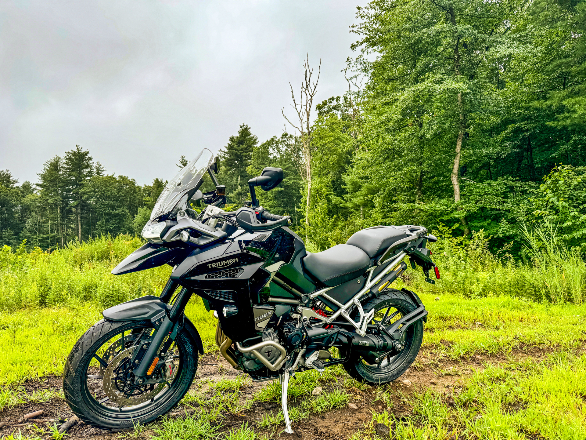 2023 Triumph Tiger 1200 GT Explorer in Foxboro, Massachusetts - Photo 17