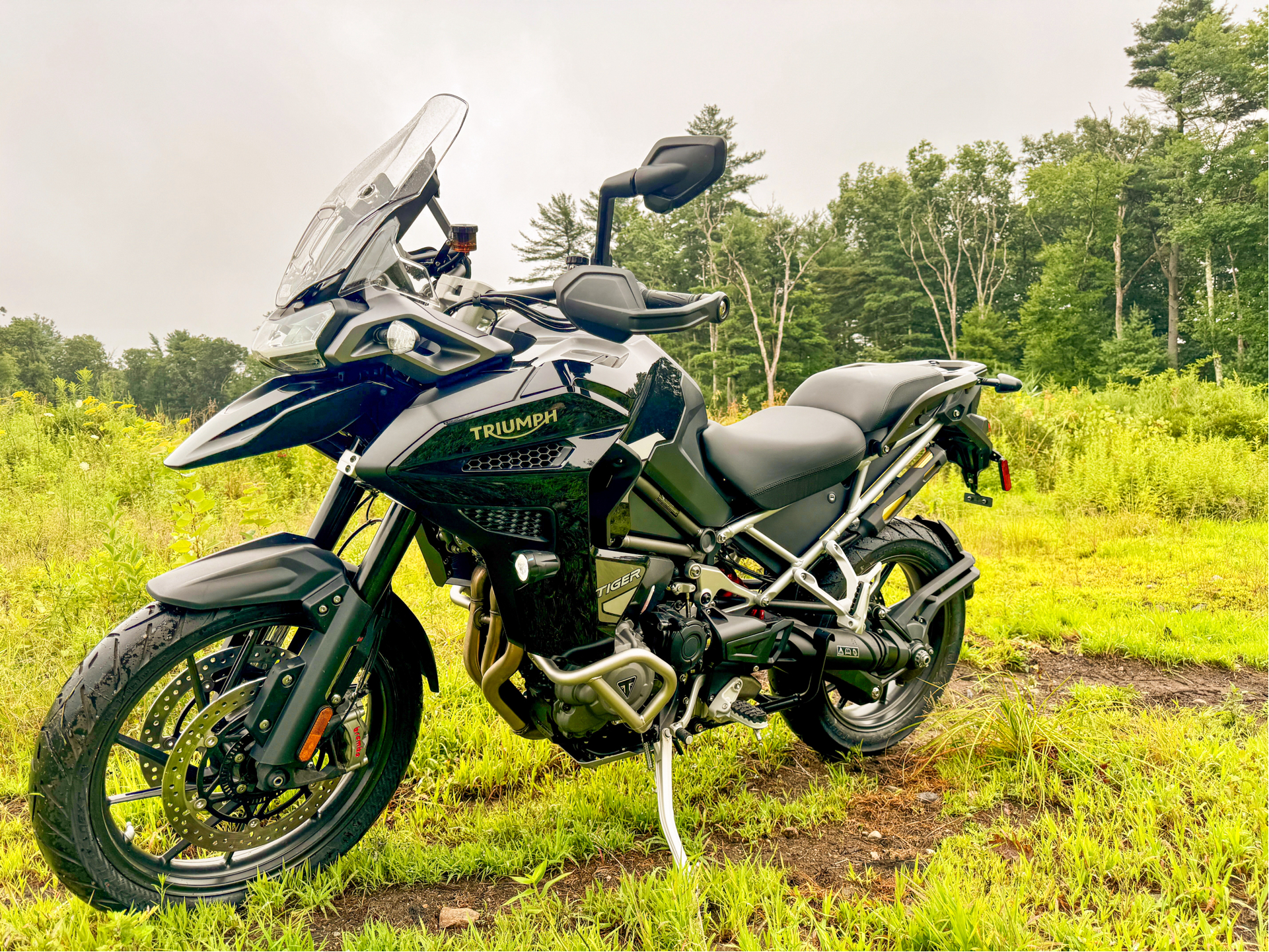 2023 Triumph Tiger 1200 GT Explorer in Foxboro, Massachusetts - Photo 1