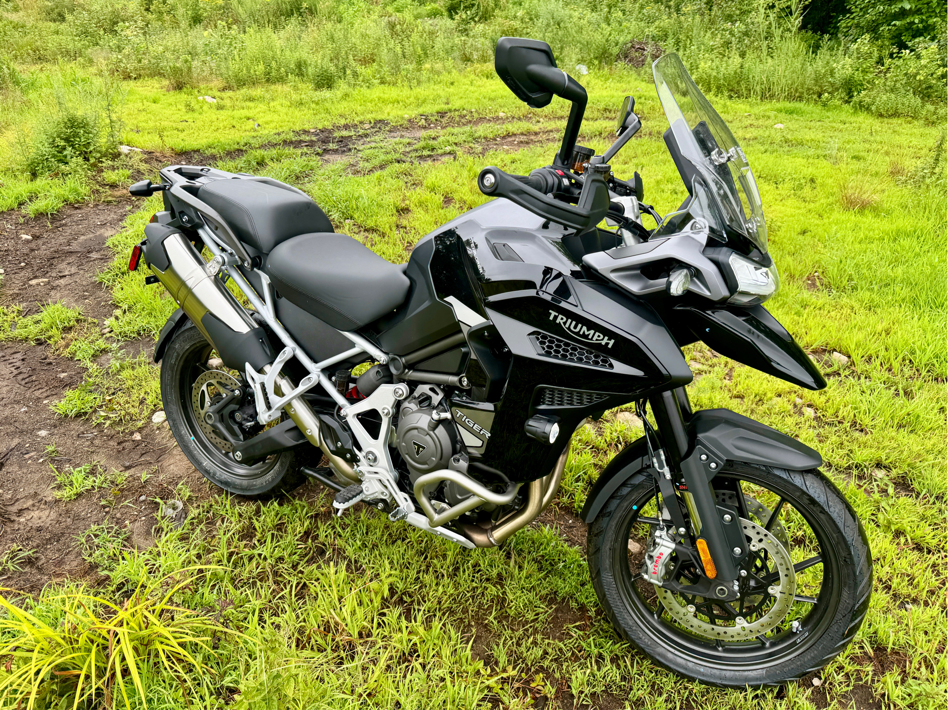 2023 Triumph Tiger 1200 GT Explorer in Foxboro, Massachusetts - Photo 19