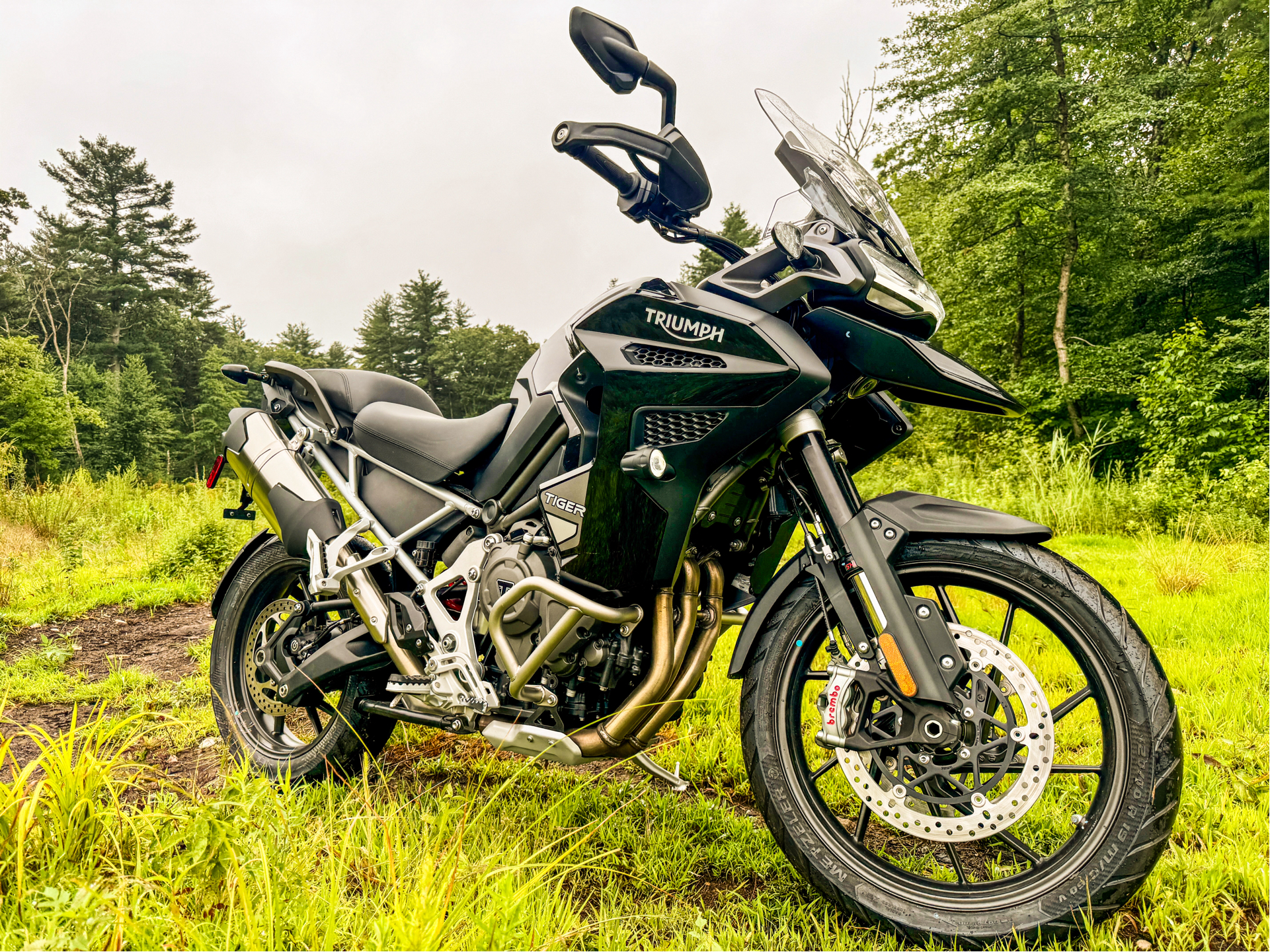 2023 Triumph Tiger 1200 GT Explorer in Foxboro, Massachusetts - Photo 15