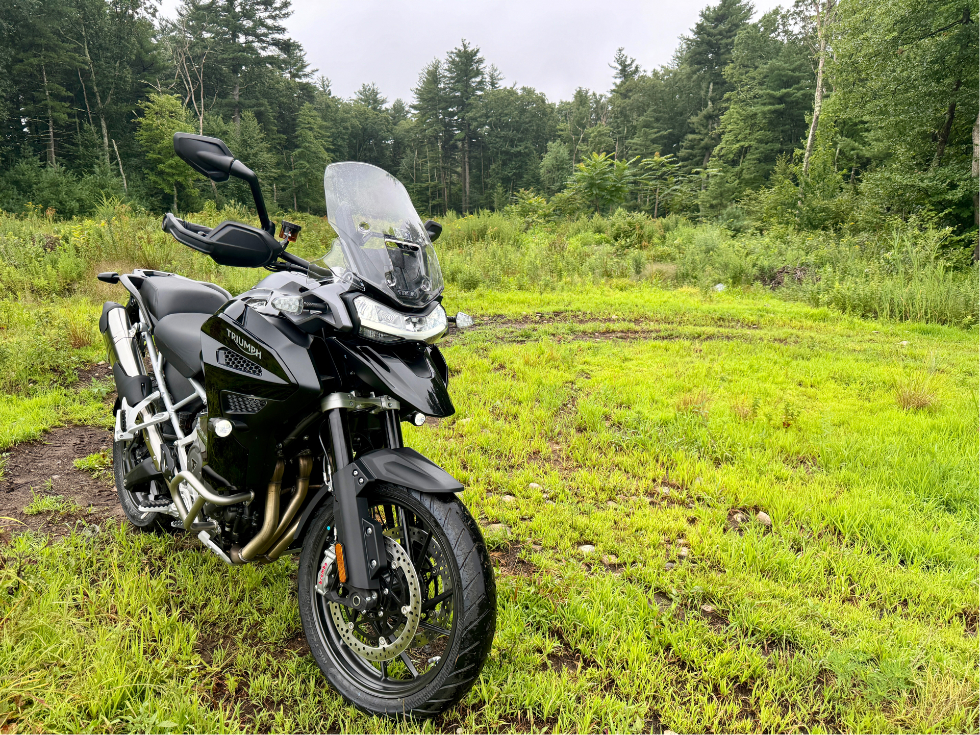 2023 Triumph Tiger 1200 GT Explorer in Foxboro, Massachusetts - Photo 21