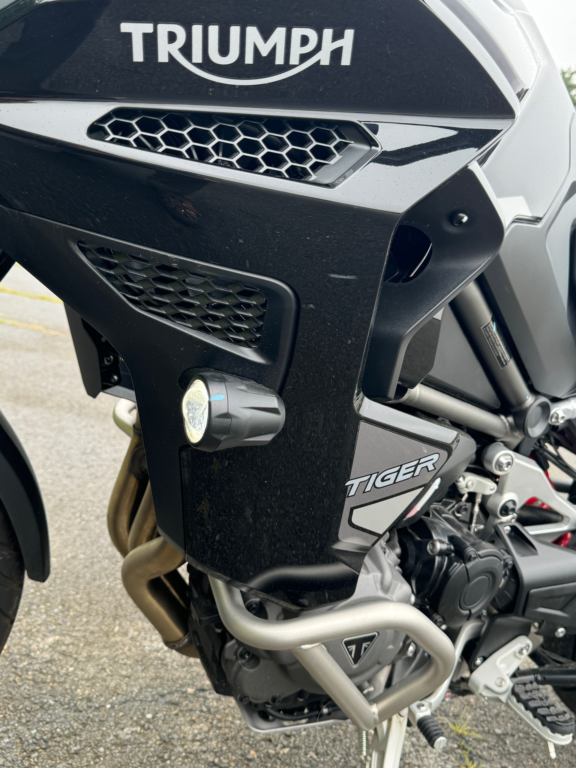 2023 Triumph Tiger 1200 GT Explorer in Foxboro, Massachusetts - Photo 20