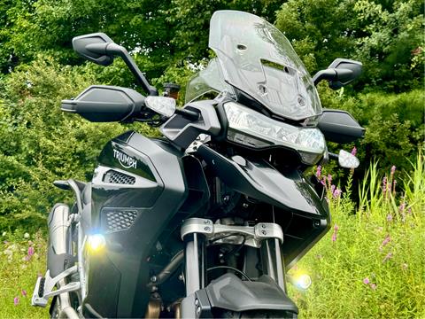 2023 Triumph Tiger 1200 GT Explorer in Foxboro, Massachusetts - Photo 4